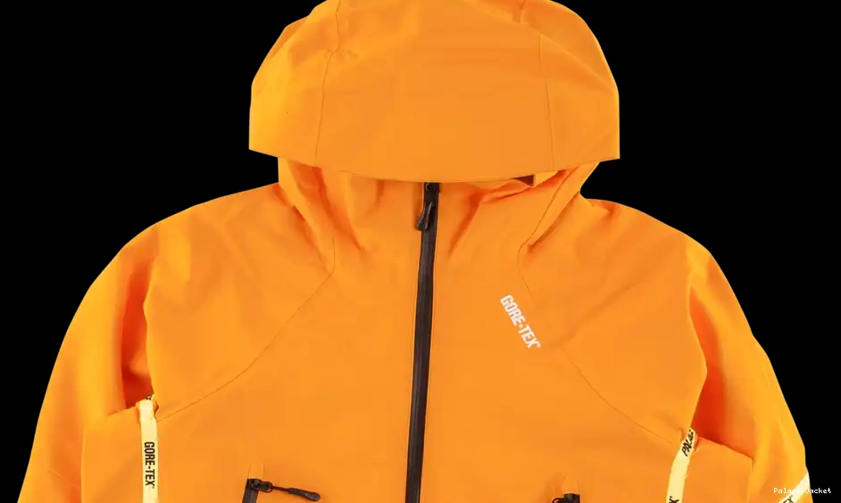 Cheap Palace Jacket Gore-Tex Palex 0606